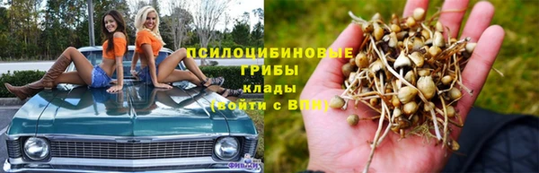 круглые Богданович
