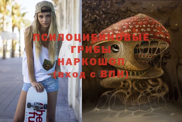 стаф Богородицк